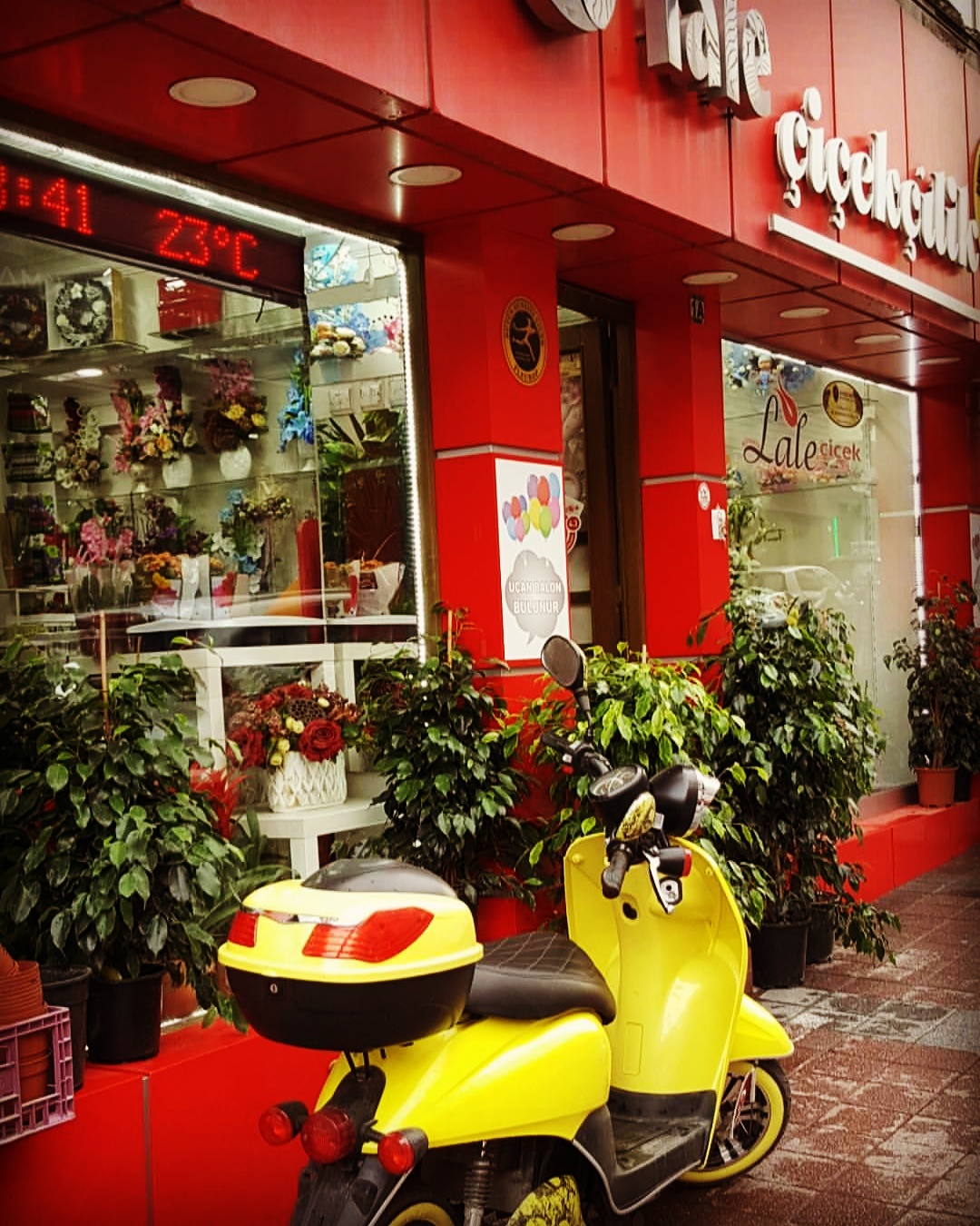 Lale Çiçek Florists Kutahya kır düğünü mekanı — Merkez
