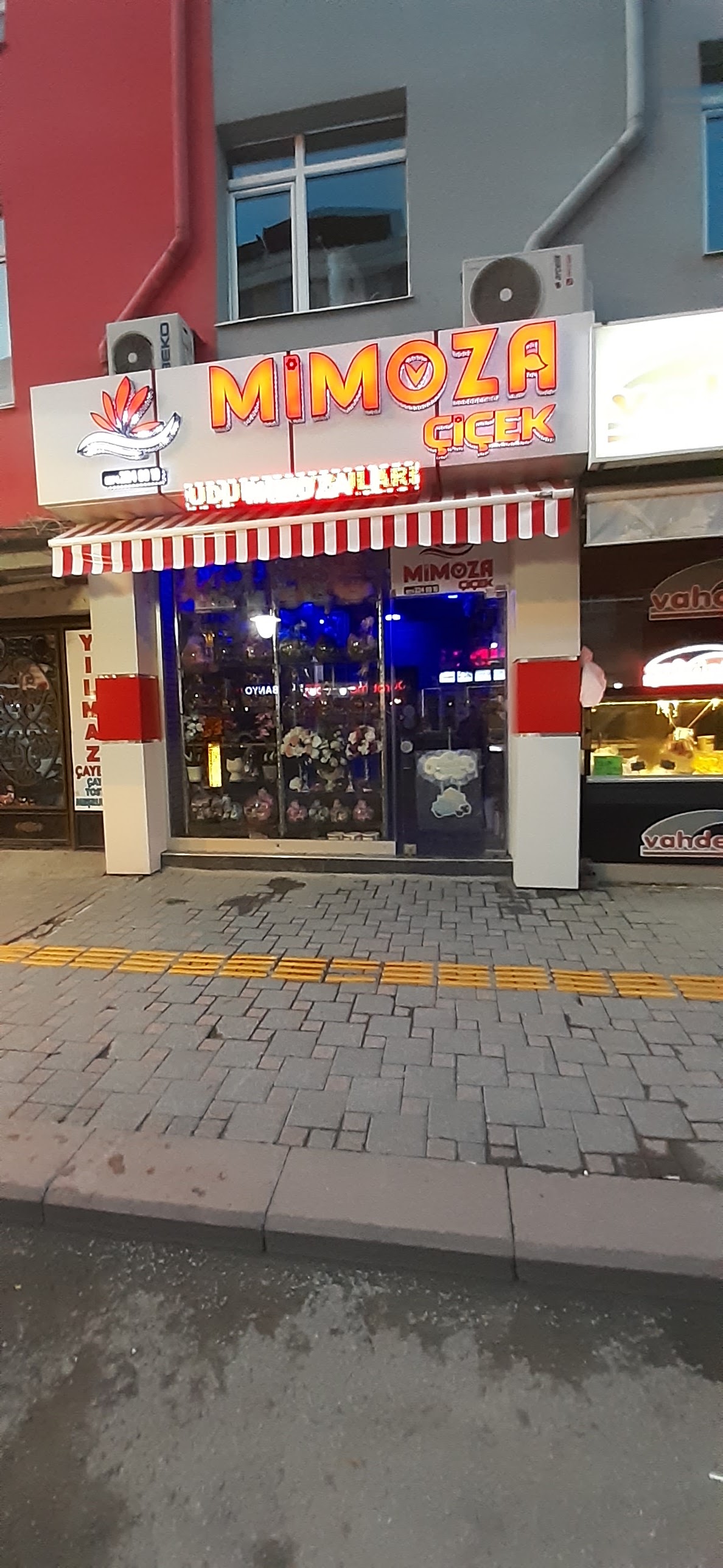 Mimoza Cicek Evi