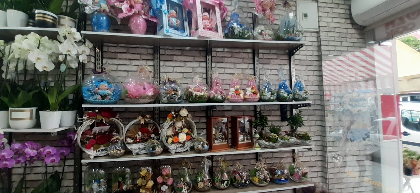 Mimoza Cicek Evi