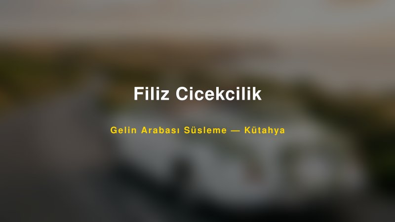 Filiz Cicekcilik — Kütahya Kır Düğünü Mekanı Rehberi