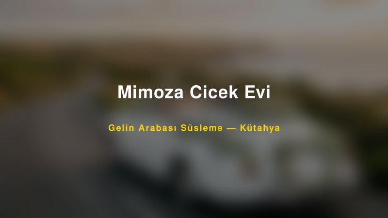 Mimoza Cicek Evi ile Trend Gelin Arabası Yazıları ve Konseptleri