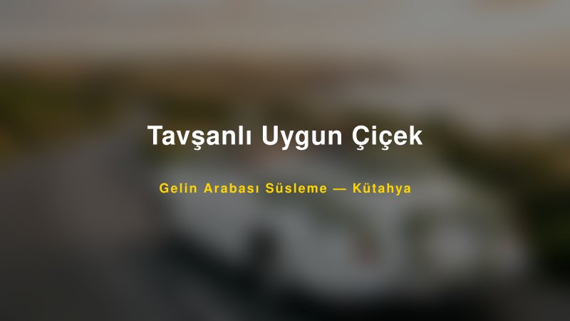 Tavşanlı Uygun Çiçek ile Trend Gelin Arabası Yazıları ve Konseptleri